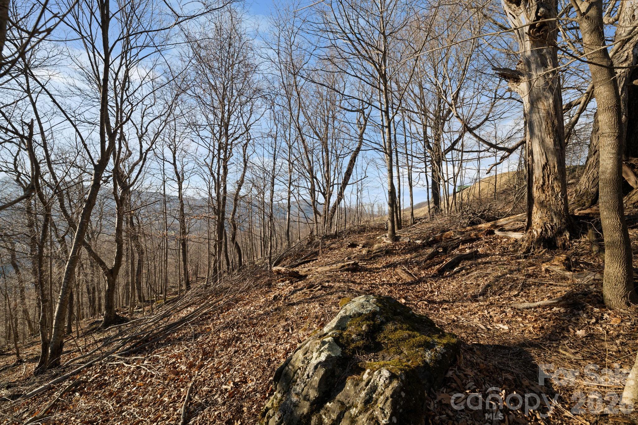 Mountain View Estates - Land