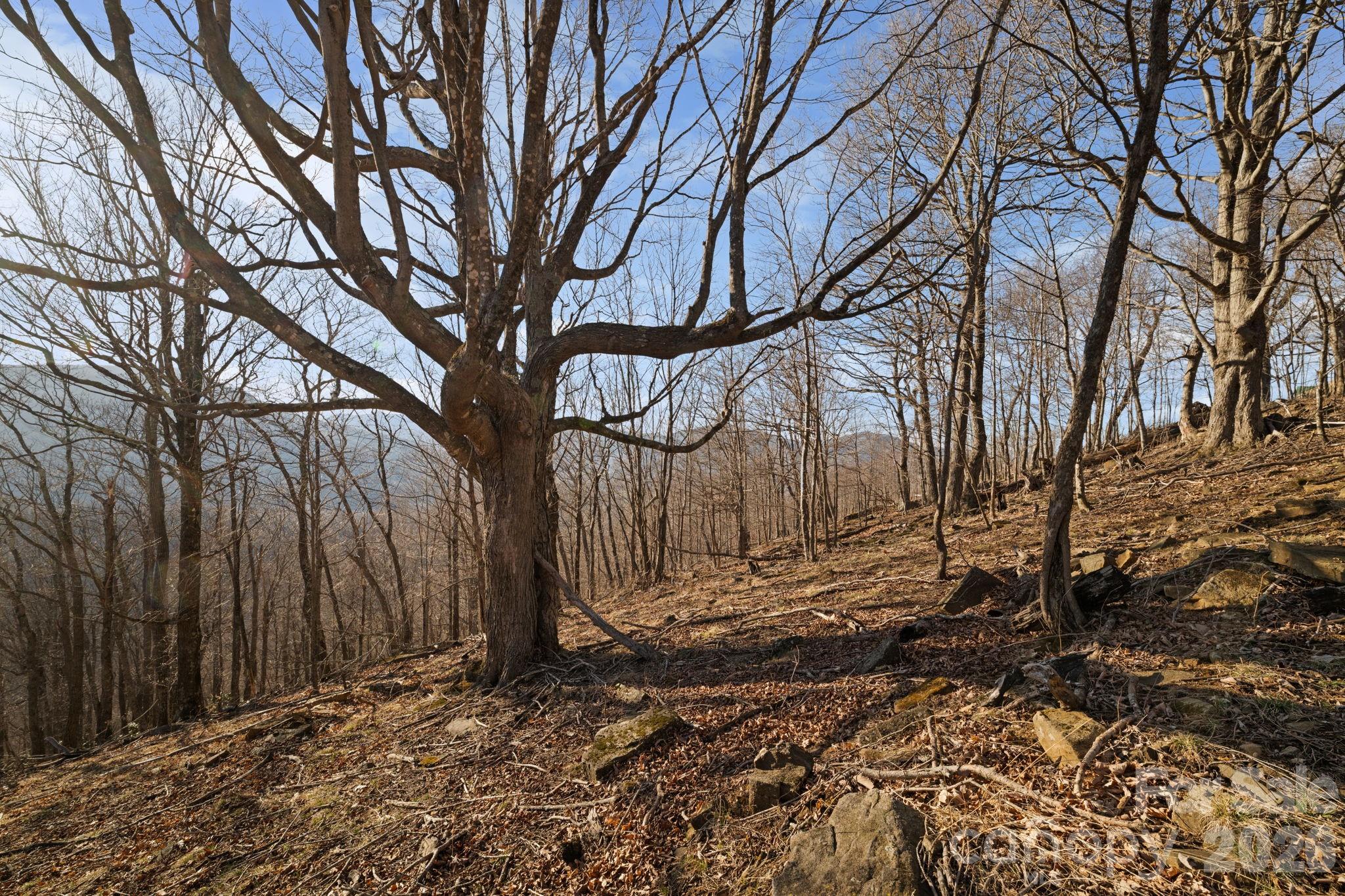 Mountain View Estates - Land