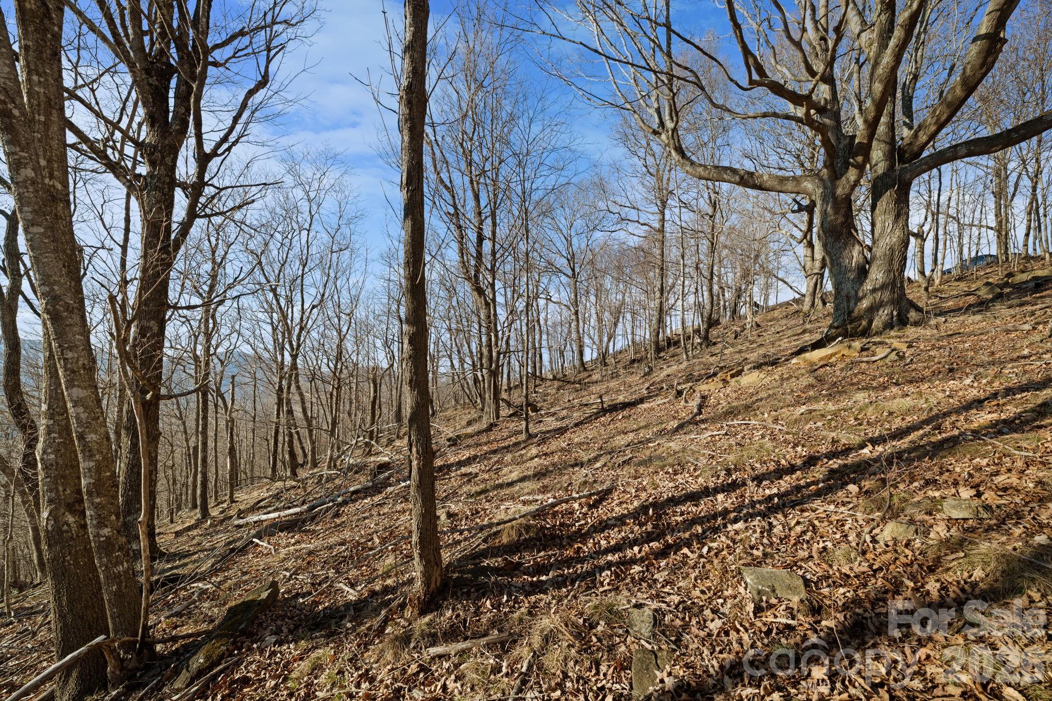 Mountain View Estates - Land