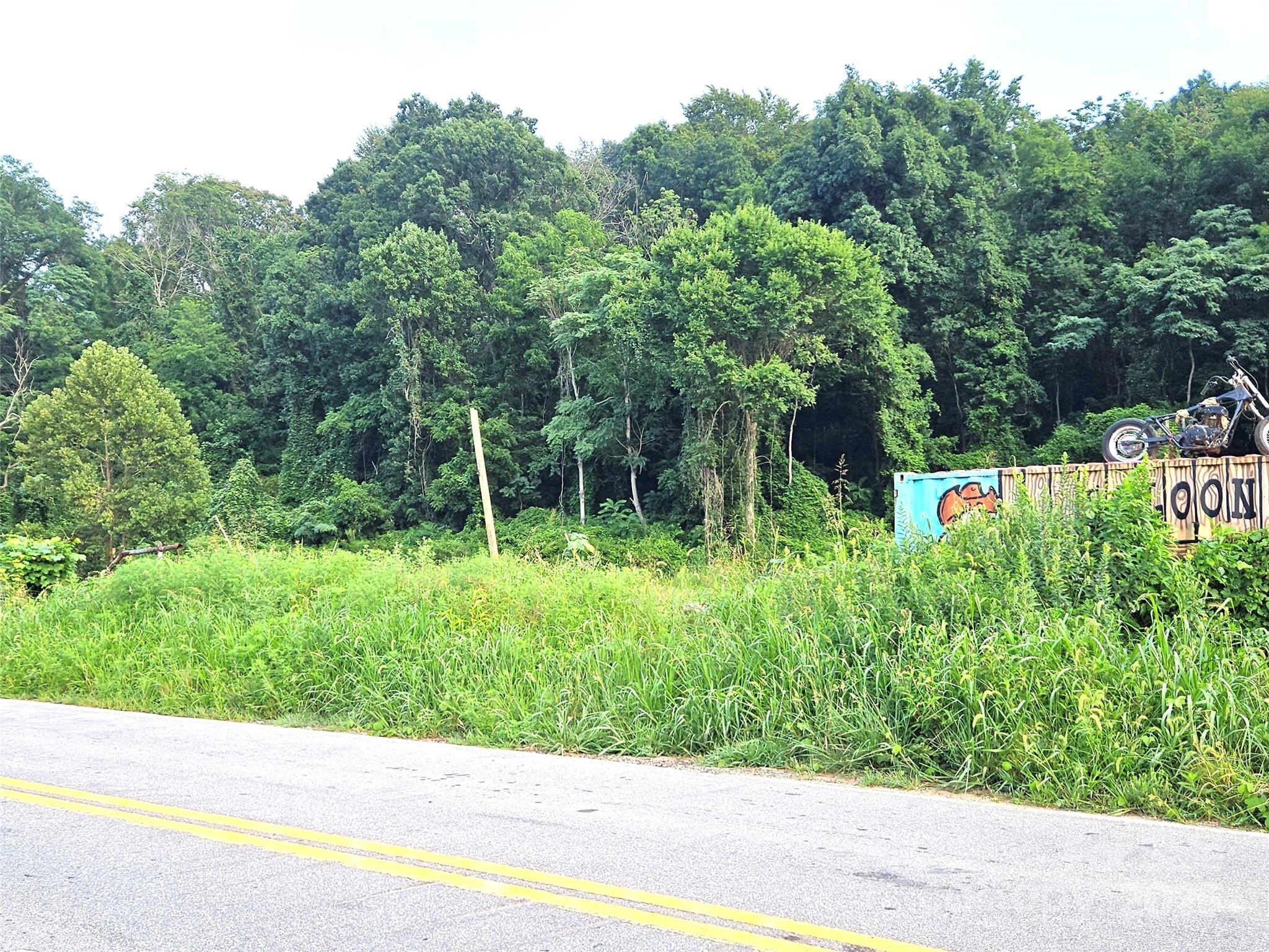 0 Swannanoa River Road
