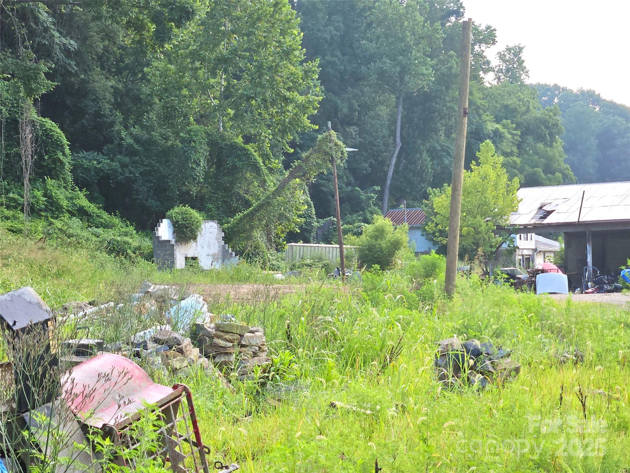 0 Swannanoa River Road