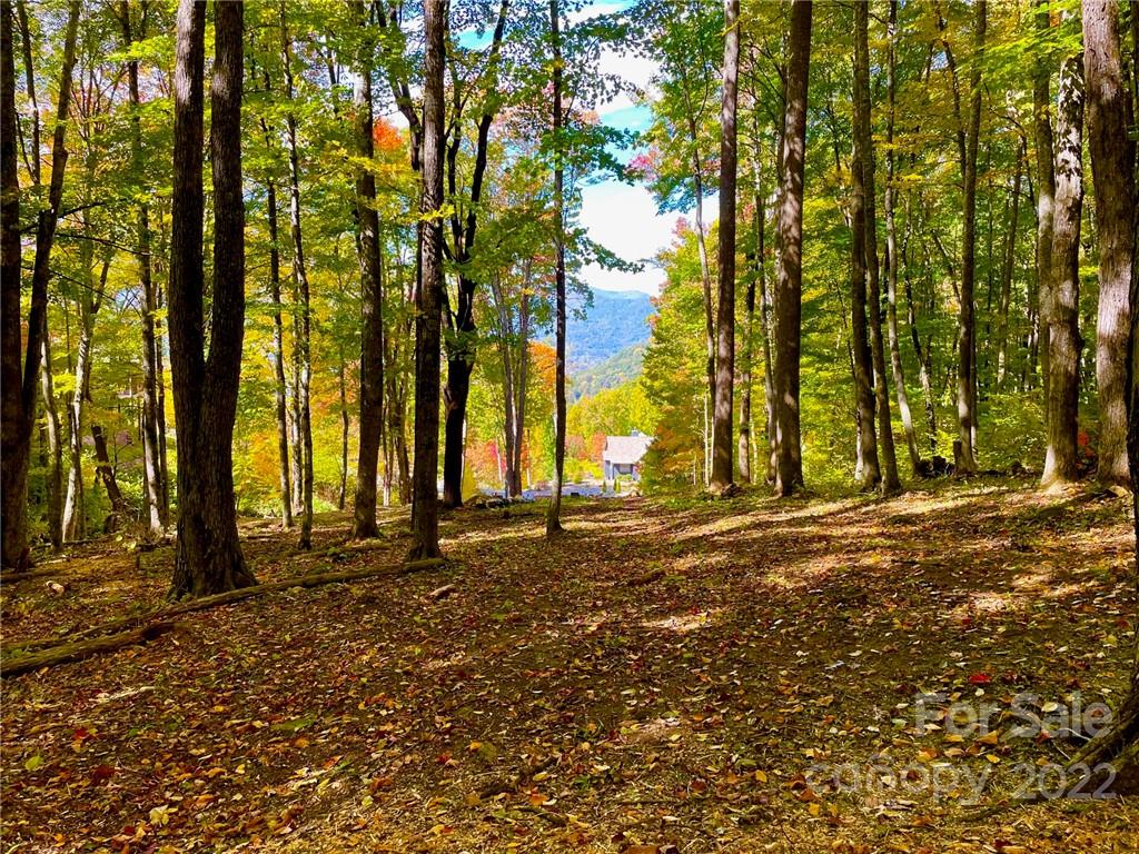 0 Finlaystone Trace 24