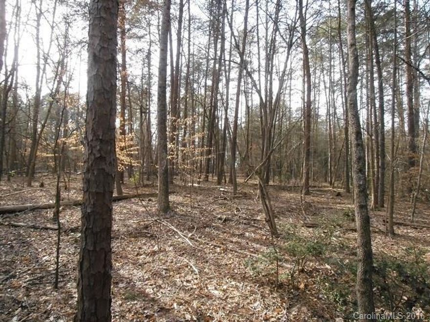 Private 1+ acre lot-natural park like setting.  Beautiful Wooded lot with the ability to build your dream home.  Great Location, Close to Schools, Shopping and easy access to highway 49. This is one of two lots available see MLS#3159524. Purchase both lots and let make a package deal! MAKE AN OFFER!