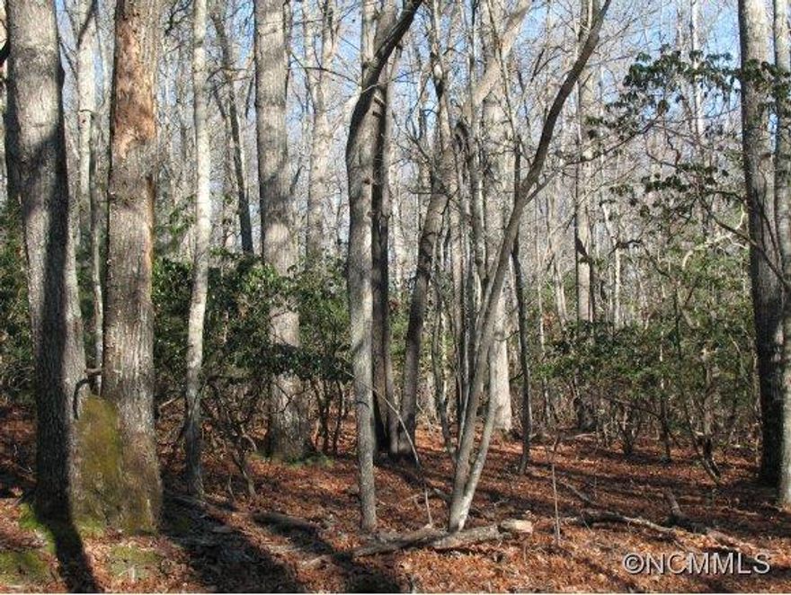 Wooded level to gently rolling tract of land in South Mills River area. Deeded right-of-way access by gravel side road. Tract nicely situated for one or more home sites with privacy. No manufactured homes allowed. Nice residential/low density area convenient to Arden, Fletcher,Hendersonville, Etowah, and Brevard. Short 10min drive to Asheville airport/I-26. See attachments for final recorded survey.Seller financing available.