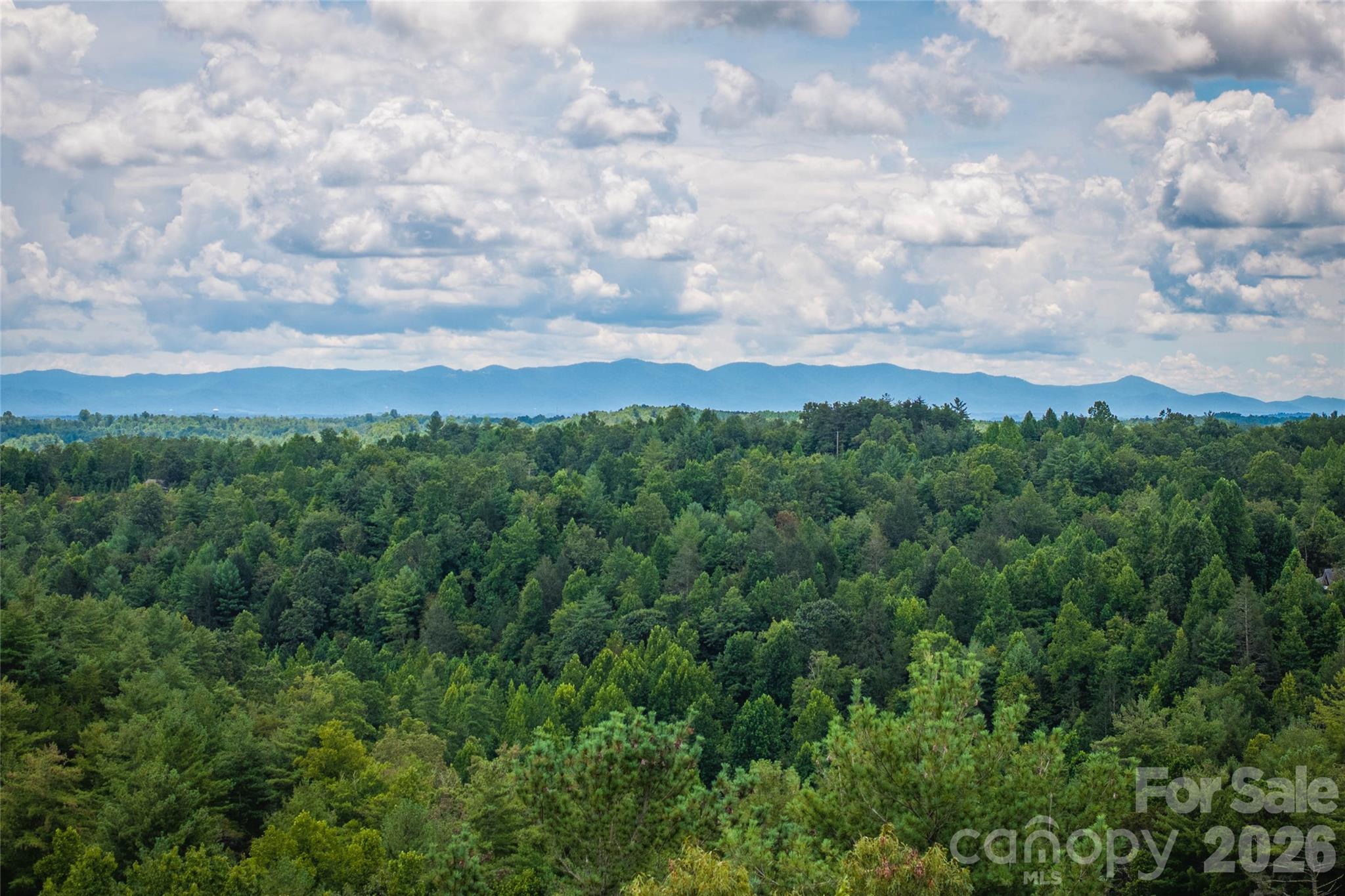 5.5 Acres Dogwood Way 840a