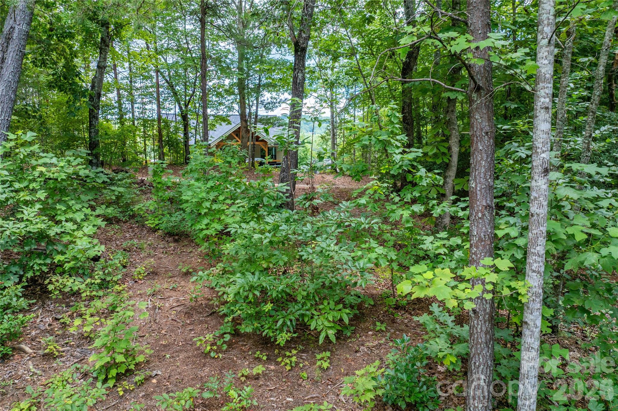 The Coves Mountain River Club - Land