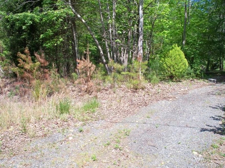 Looking for an acre of land just waiting for your doublewide or modular? This is it! Well & septic already in place! Previous doublewide was removed, power hookup available, 2 storage buildings convey, all that is missing is you! PRICED $5,000 UNDER TAX VALUE Deer Trail HOA maintains the road for $10/month.