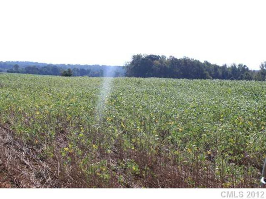 This spectacular property is located only minutes from Mooresville and Salisbury. It is mostly wooded and has a 5-7 Acre ag field that could be fenced in for horses or continue to remain in ag. Property adjoins Patterson Farms.