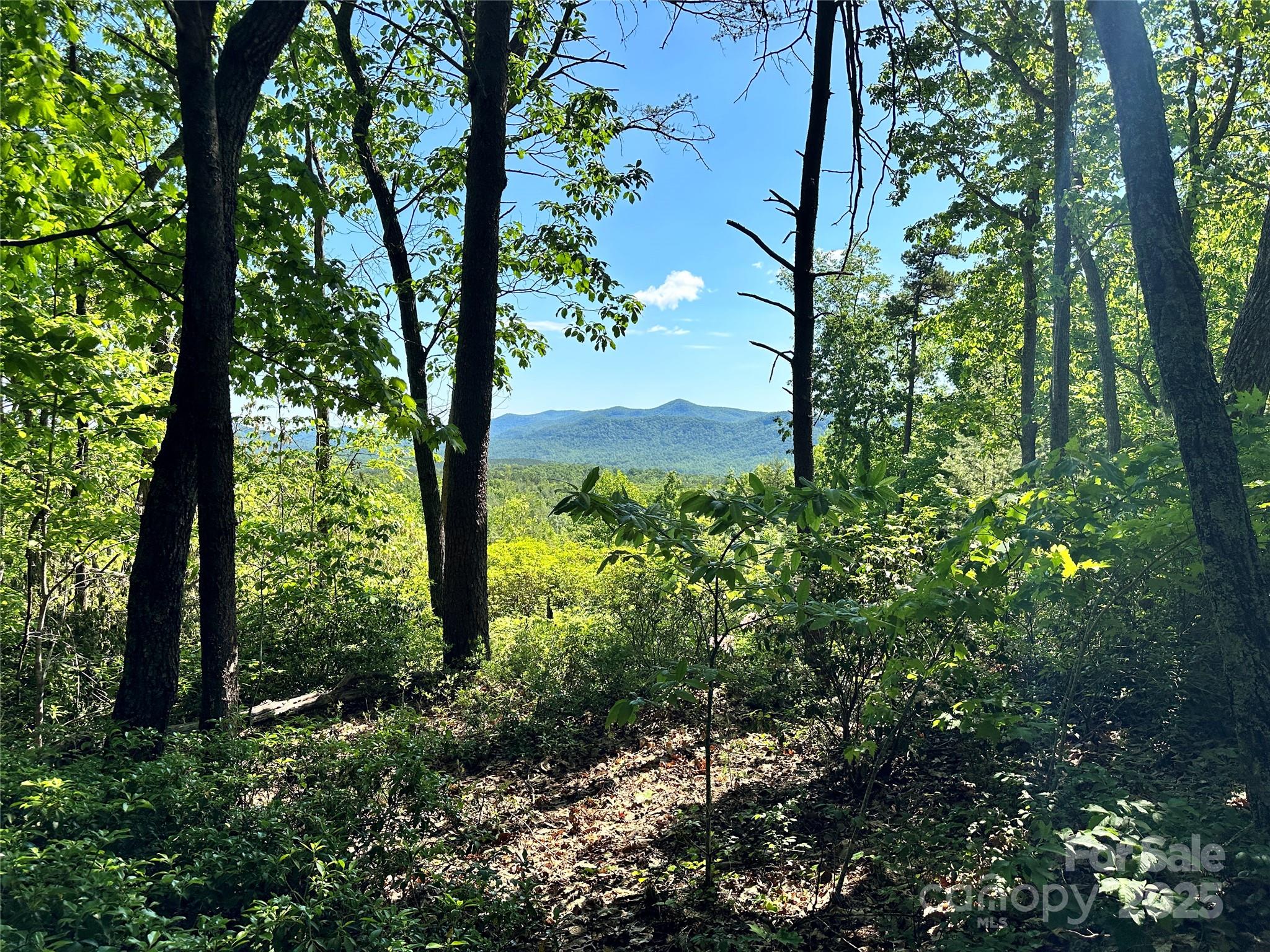 Grandview Peaks - Land