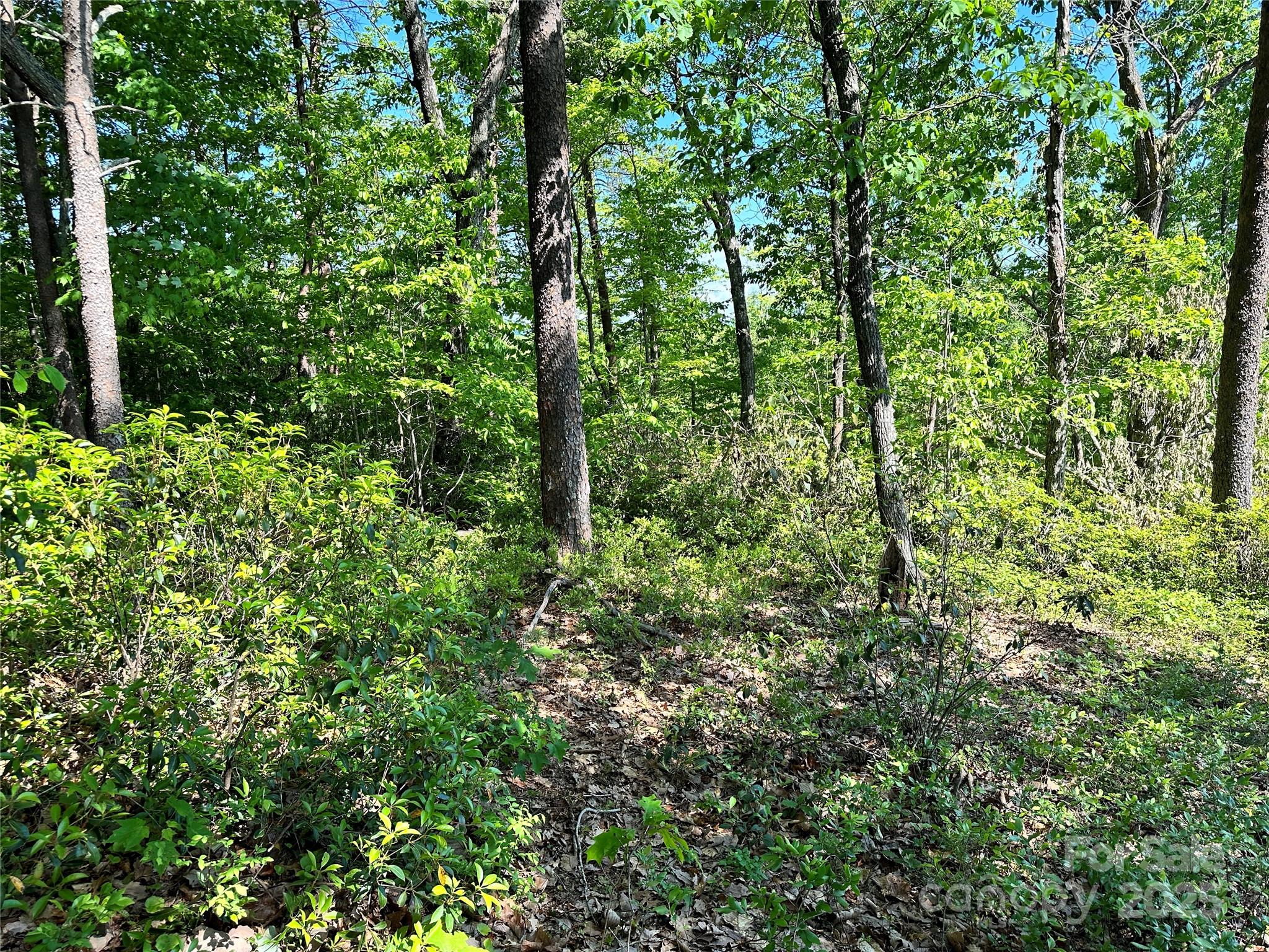 Grandview Peaks - Land