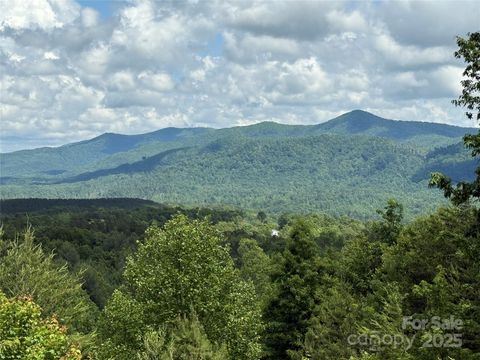 113 Valley View Trail 323 Nebo NC 28761