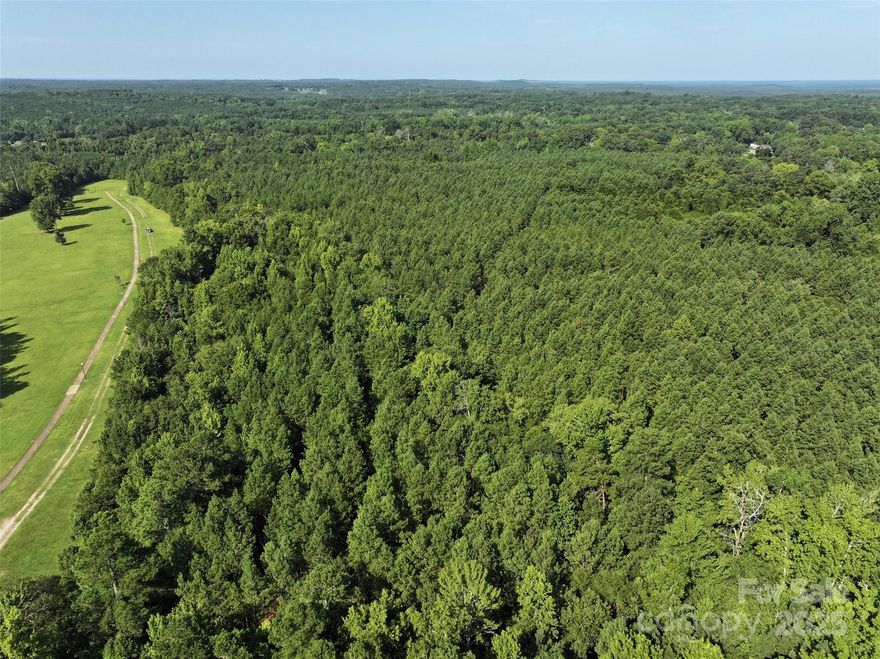 Beautiful timber tract in Wadesboro suitable for a timber investment or residential development.  All utilities available.  Joins beautiful Wadesboro Park.  Timber professionally managed for many years.  Wildlife abounds!  Access from Morven Road, Chesterfield Road and numerous other roads. Call for more details!!