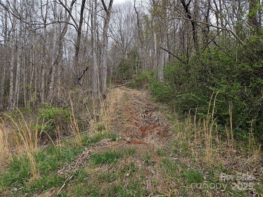 Nicely wooded 1 acre lot with the potential of year rounds views.  Rough driveway is cut in already.  Survey available. End of the road for privacy. Will need to put in a well and septic as well as run electricity up to the building spot. Can build modular, no trailers.  No drive bys please.