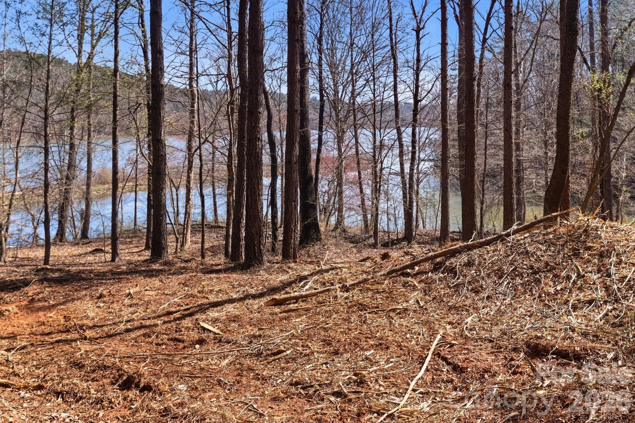 Lake Rhodhiss Estates - Land