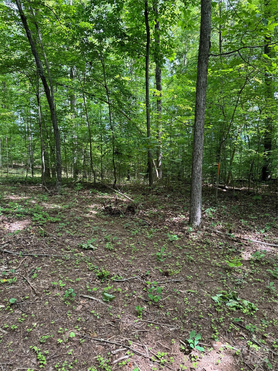 Mountain Creek - Land