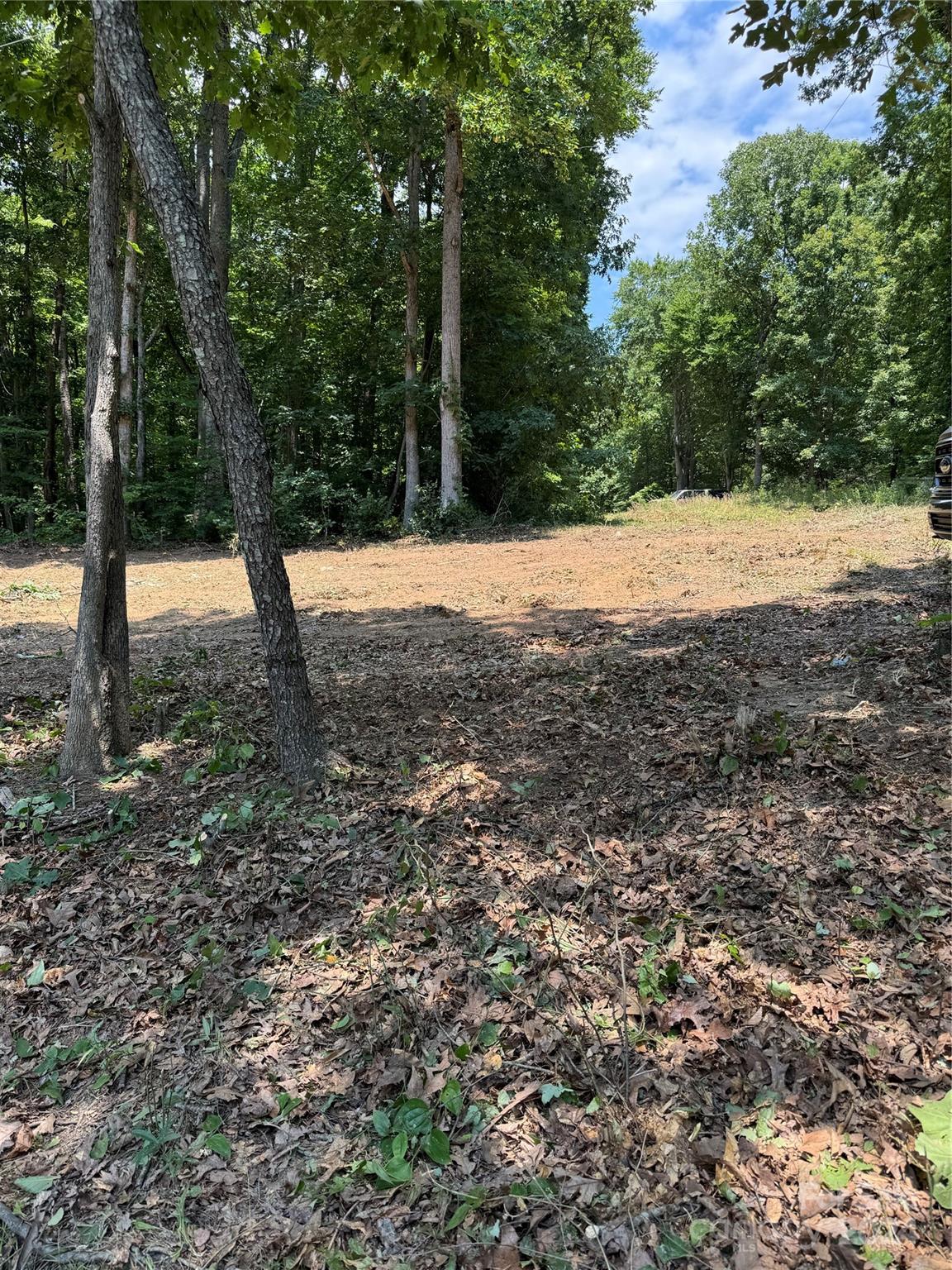 Mountain Creek - Land