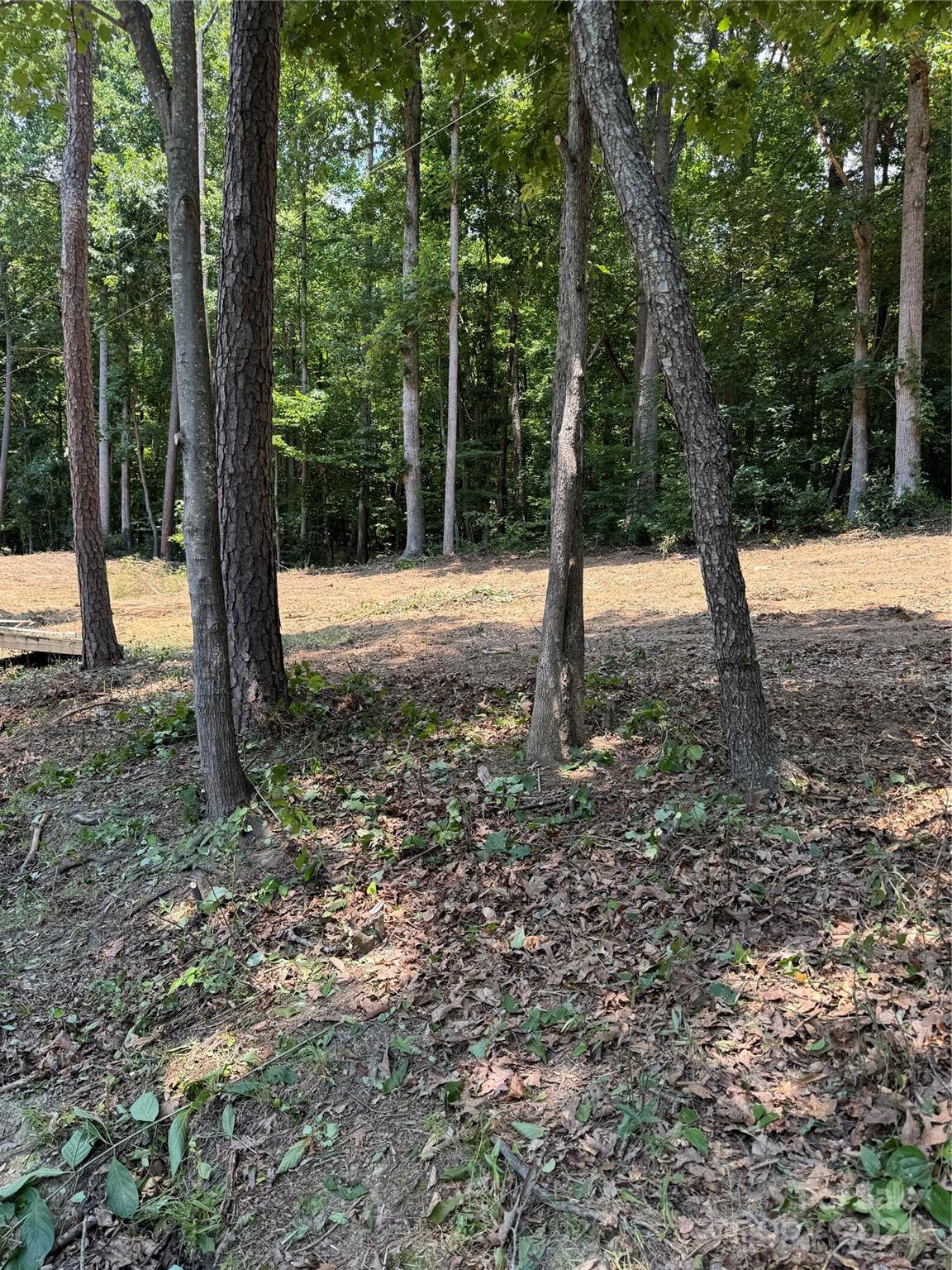 Mountain Creek - Land