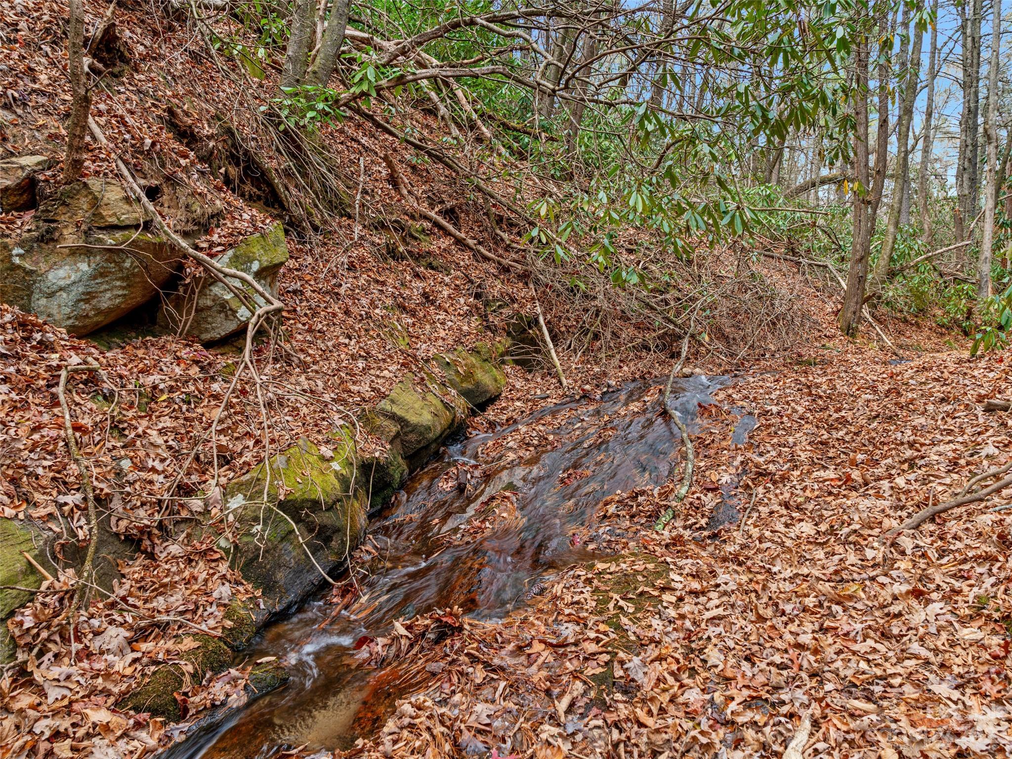 Bear Den Acres - Land