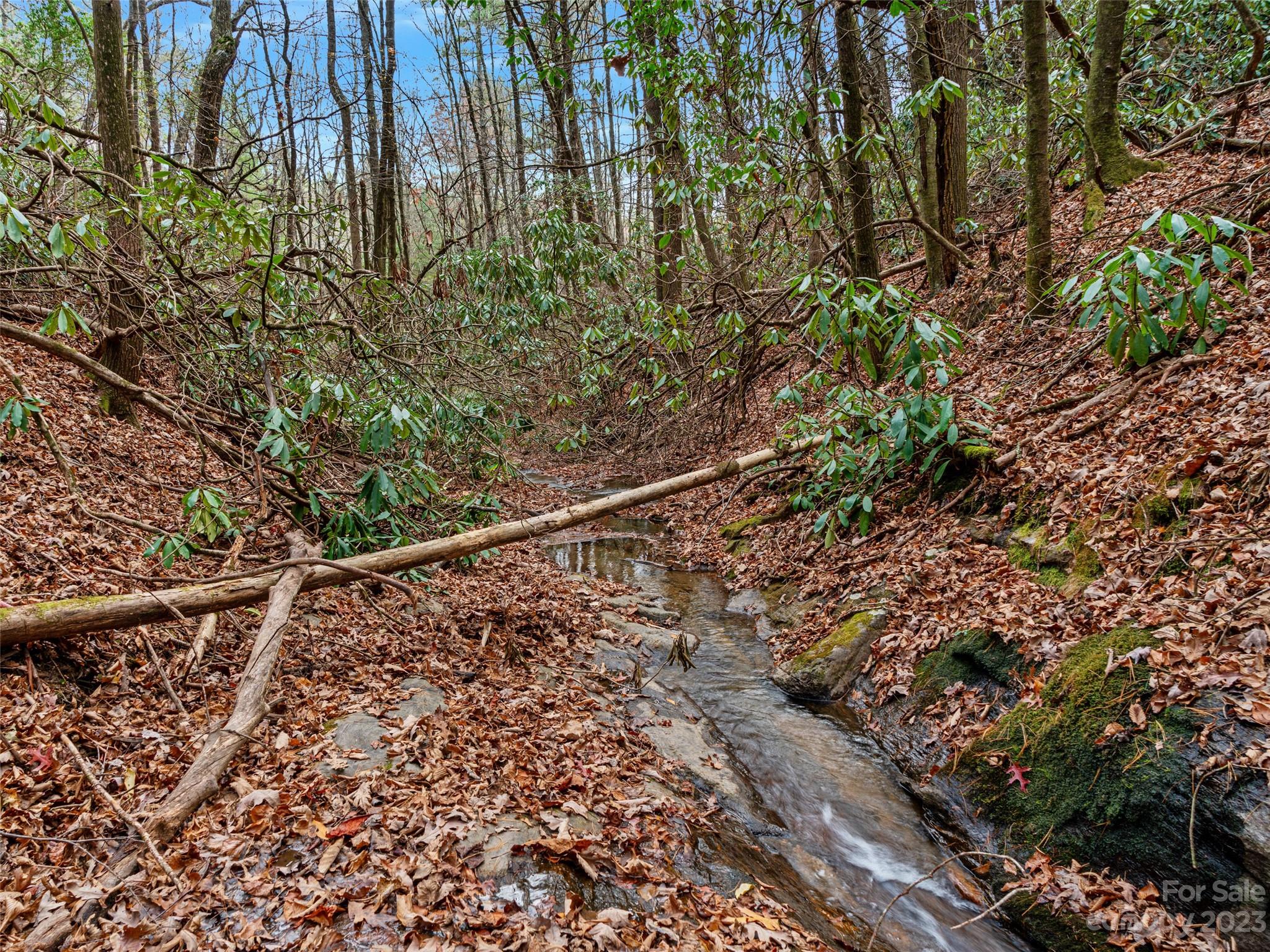 Bear Den Acres - Land