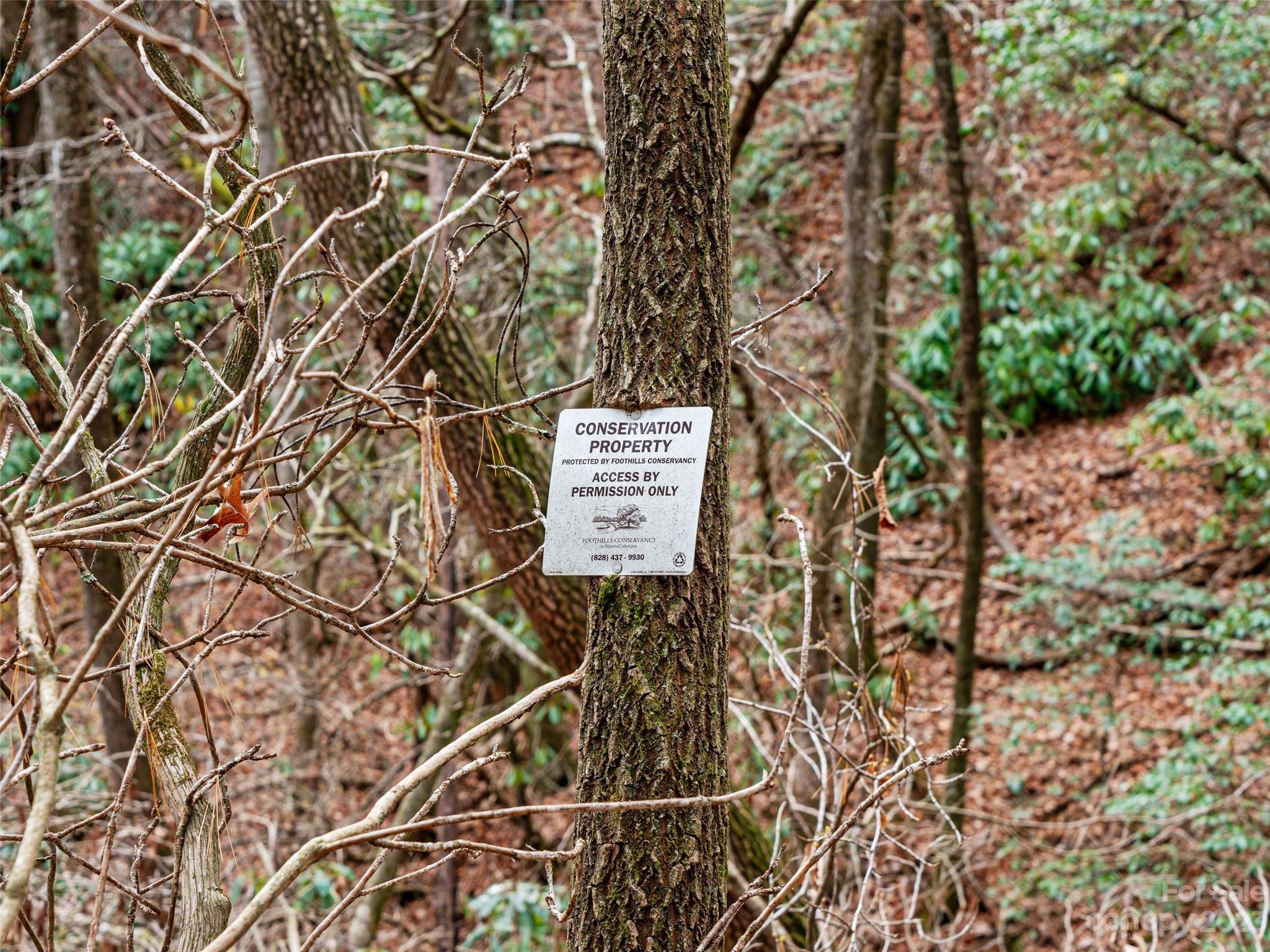 Bear Den Acres - Land