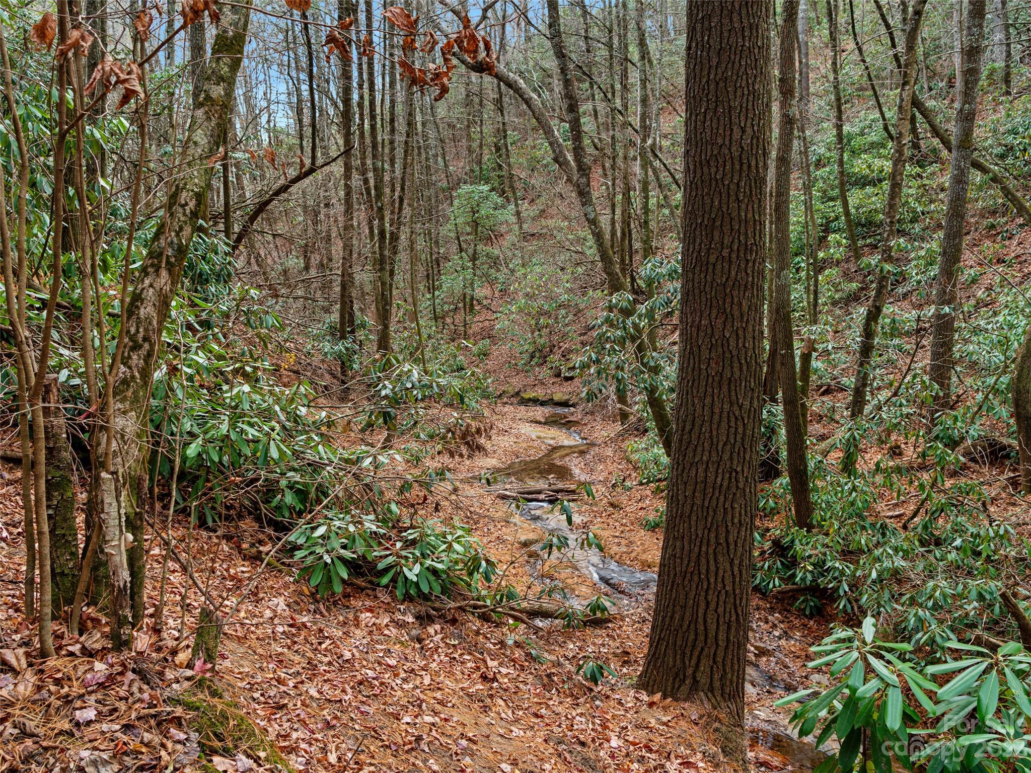 Bear Den Acres - Land