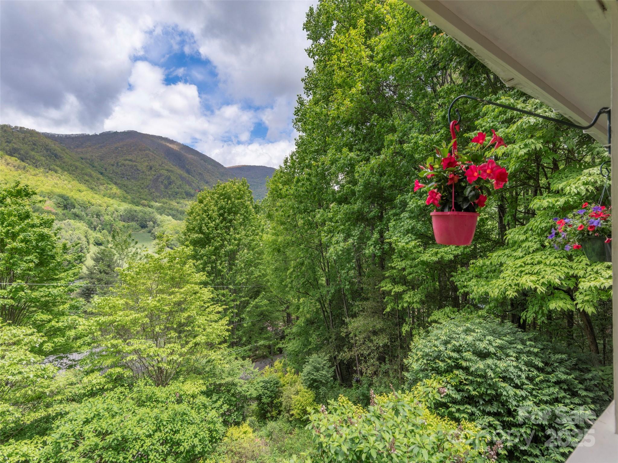 227 Soco Acres Road