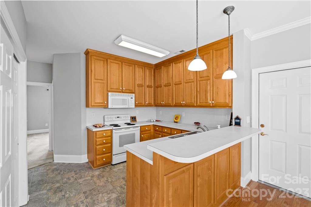 Village of Woodridge - Residential