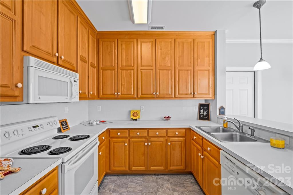 Village of Woodridge - Residential