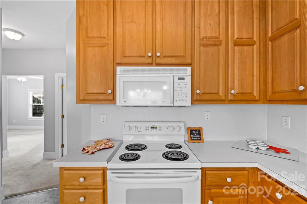 Village of Woodridge - Residential