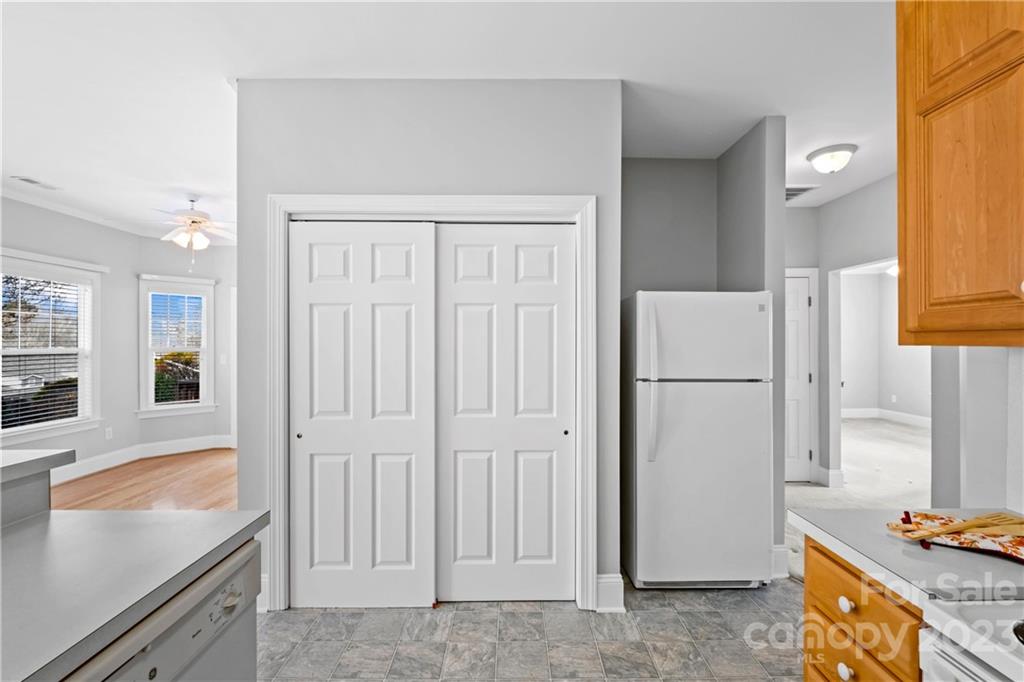 Village of Woodridge - Residential