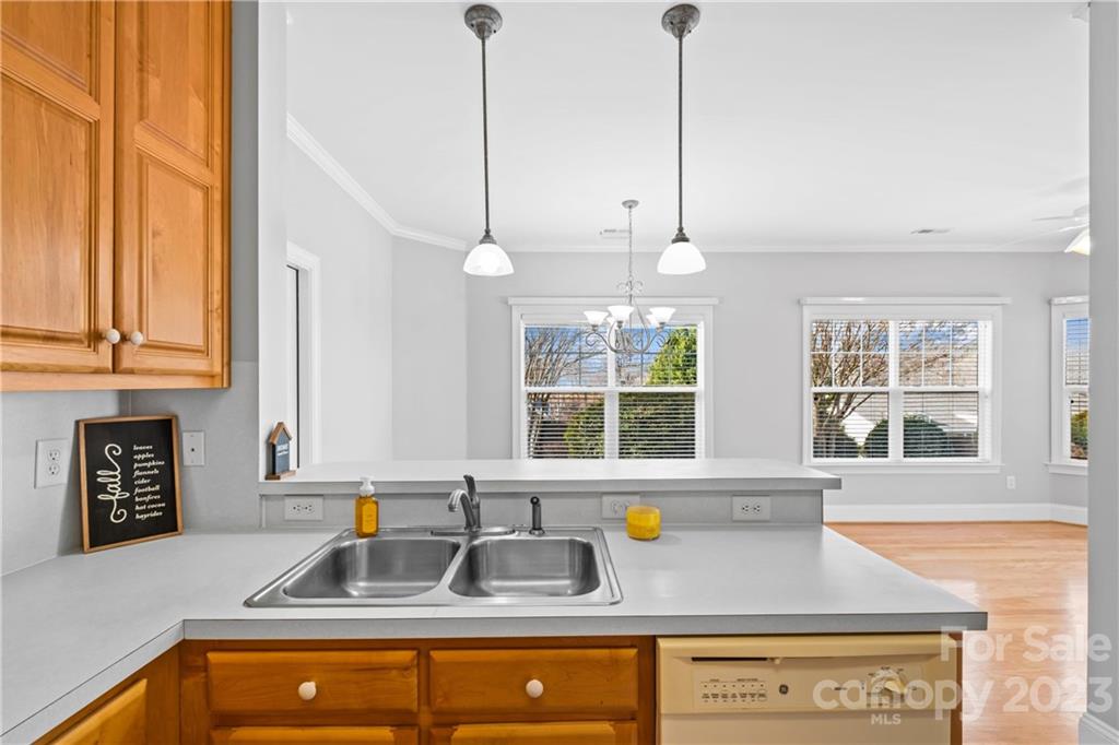 Village of Woodridge - Residential