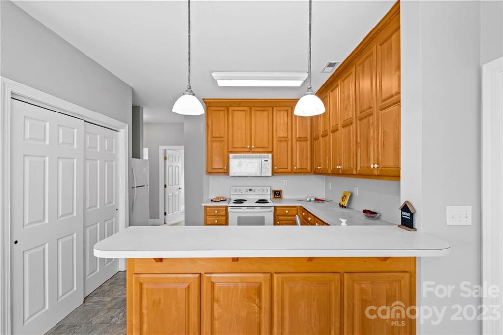 Village of Woodridge - Residential