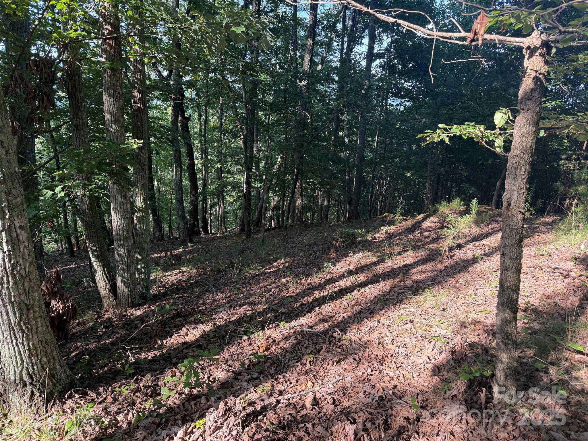 Lot 333 Scenic Vista Drive 333