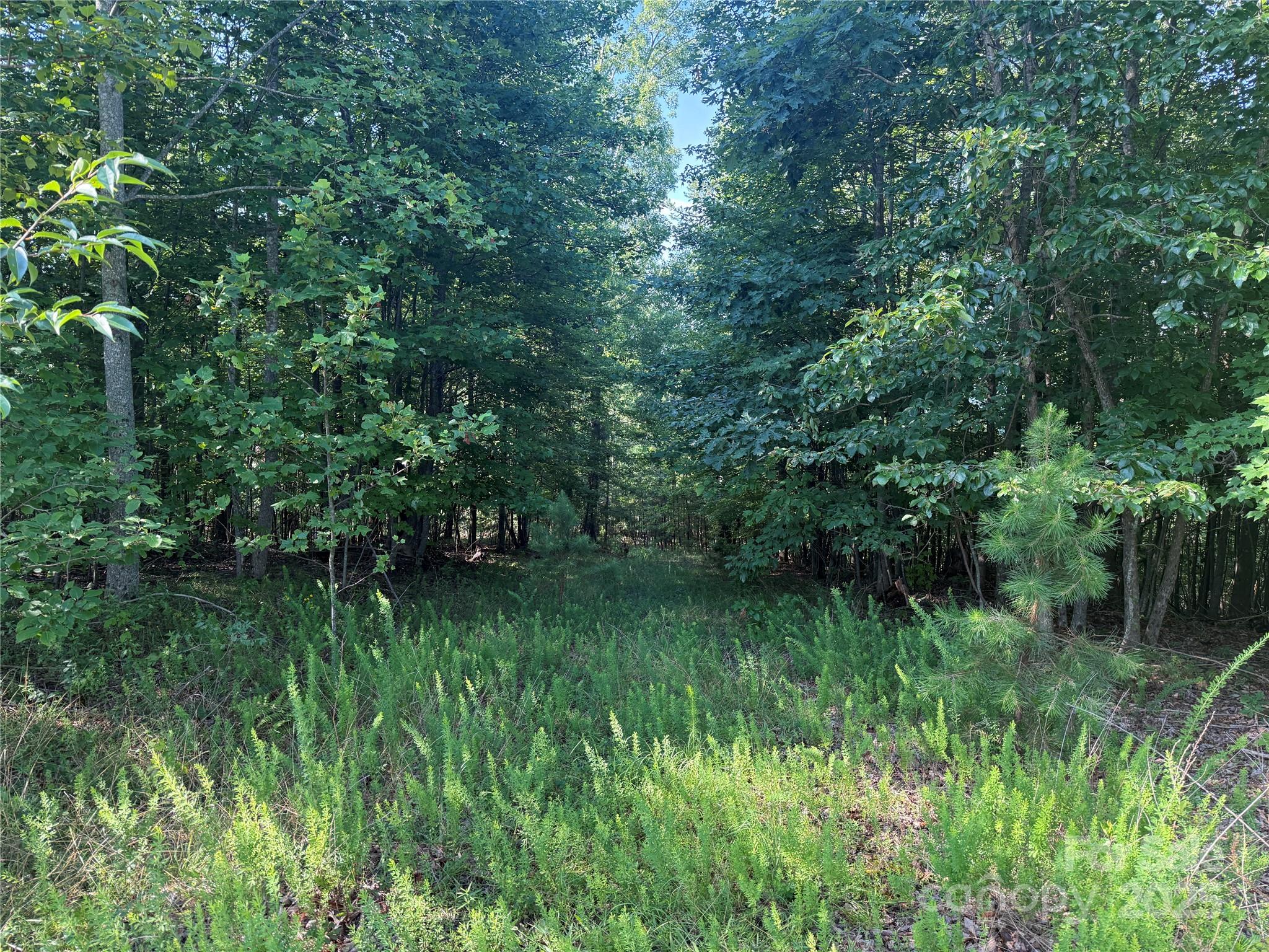Lot 333 Scenic Vista Drive 333