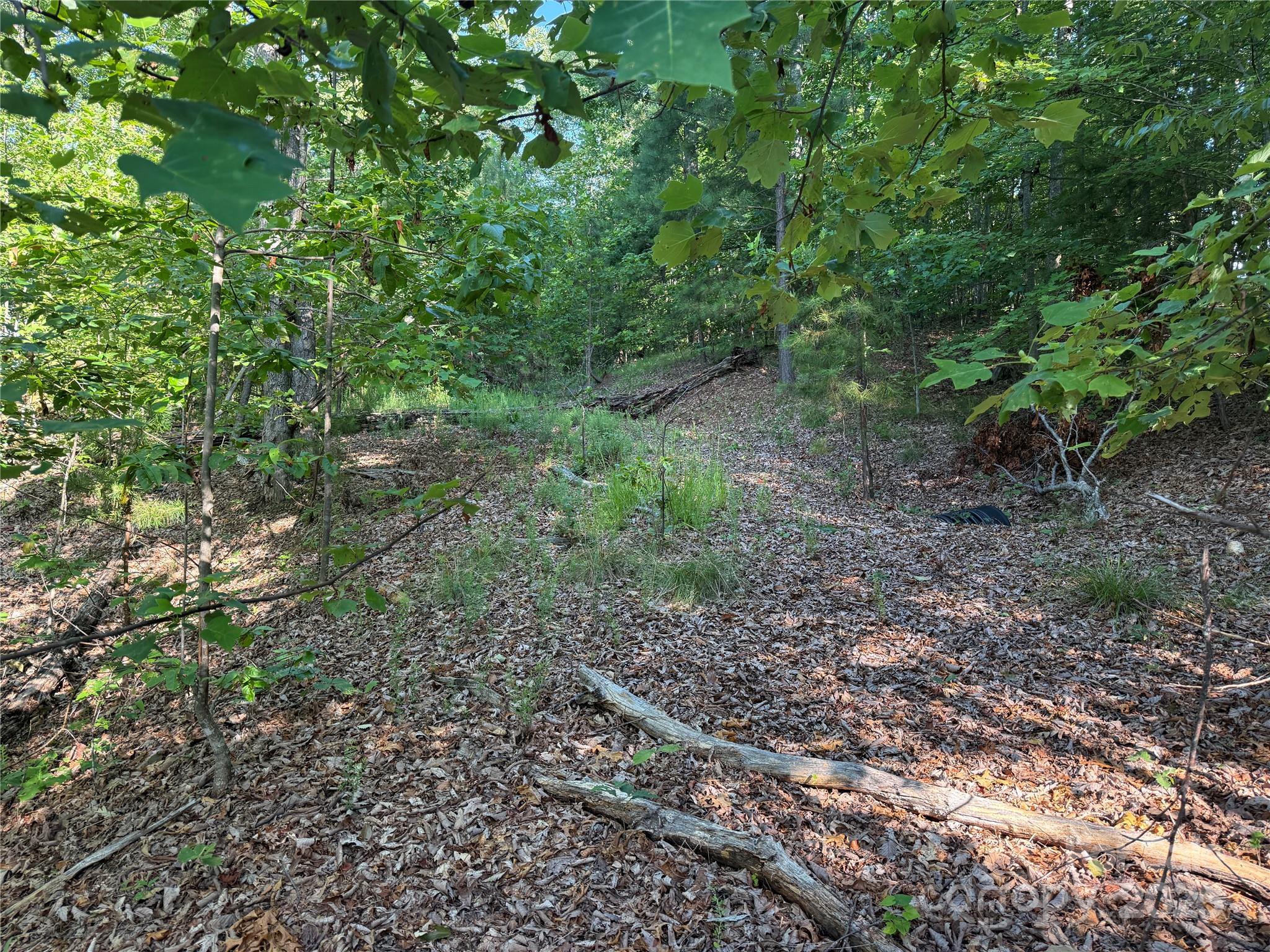 Grandview Peaks - Land