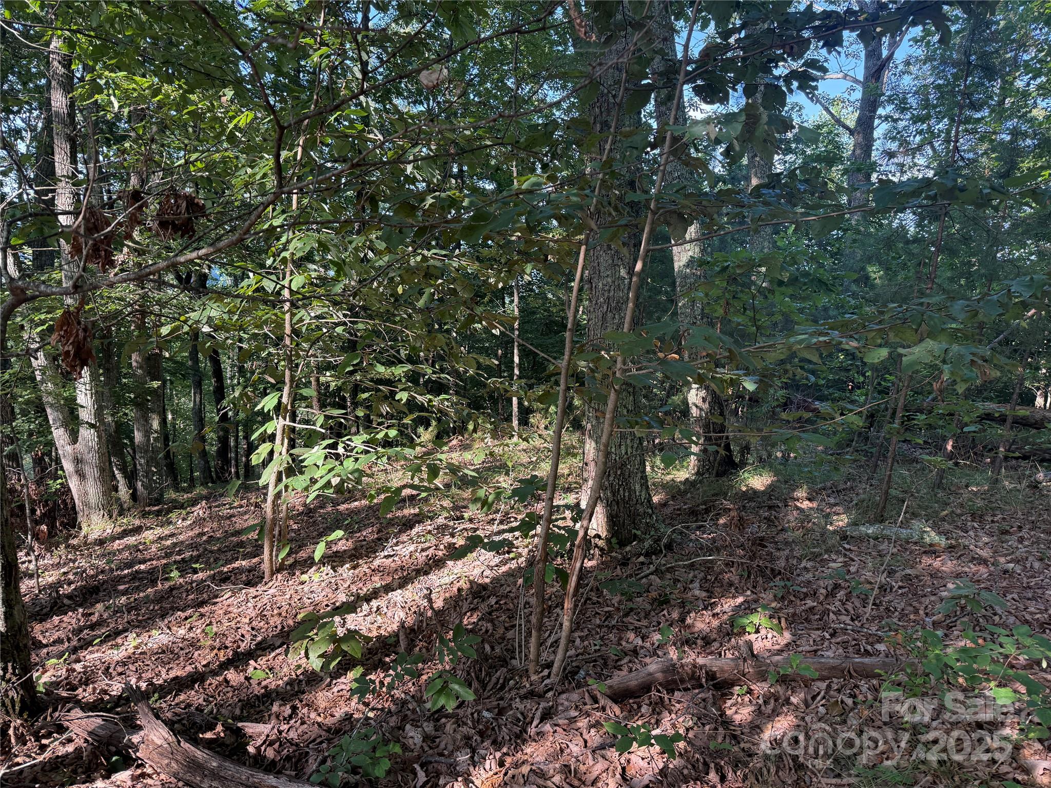 Lot 333 Scenic Vista Drive 333