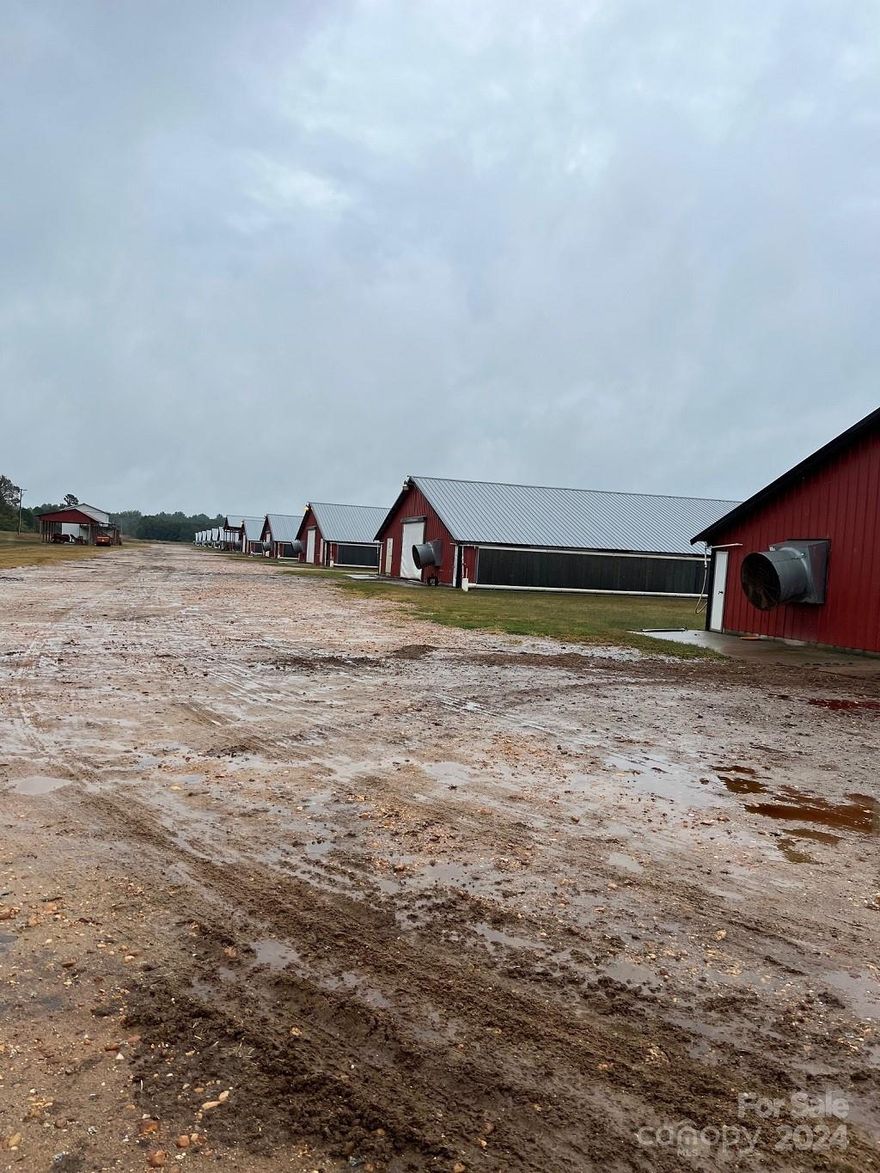 18 house poultry farm on 156 acres. Twelve house built in 2008 and six houses built in 2009. All are 42' x 500'. Multiple outbuildings and sheds, Liter shed with compost area on the side. 5 generators, 19 wells with storage tanks, county water, 3 bedroom double wide, 2 bedroom apartment over barn. 2 tractors, 2 crusters. Price includes required upgrades, Homes sold are sold as is