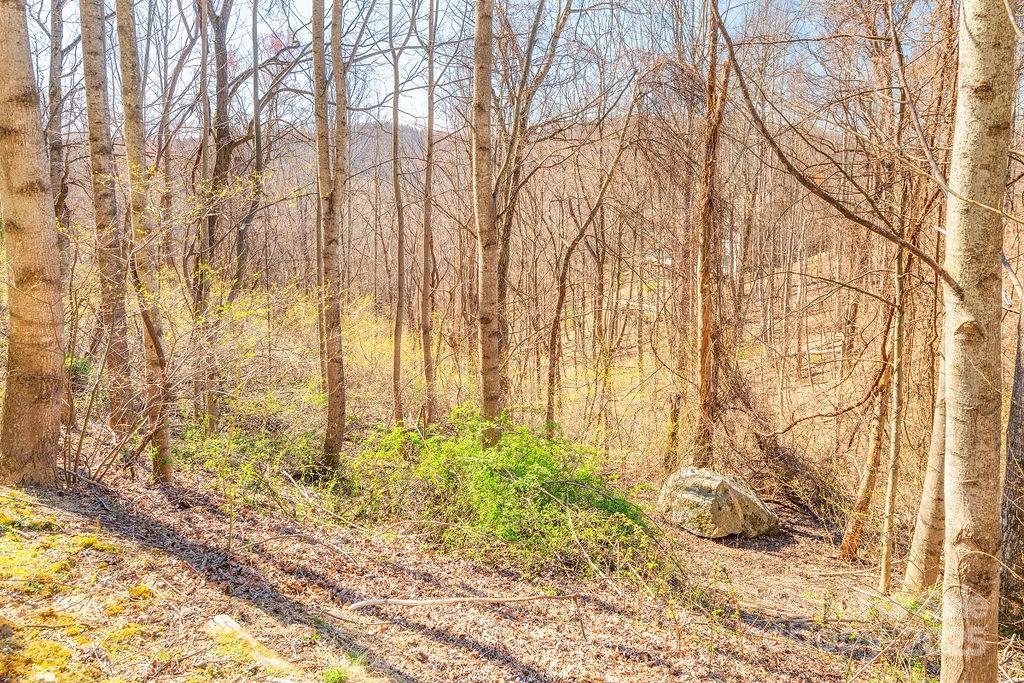 461 Somersby Parkway