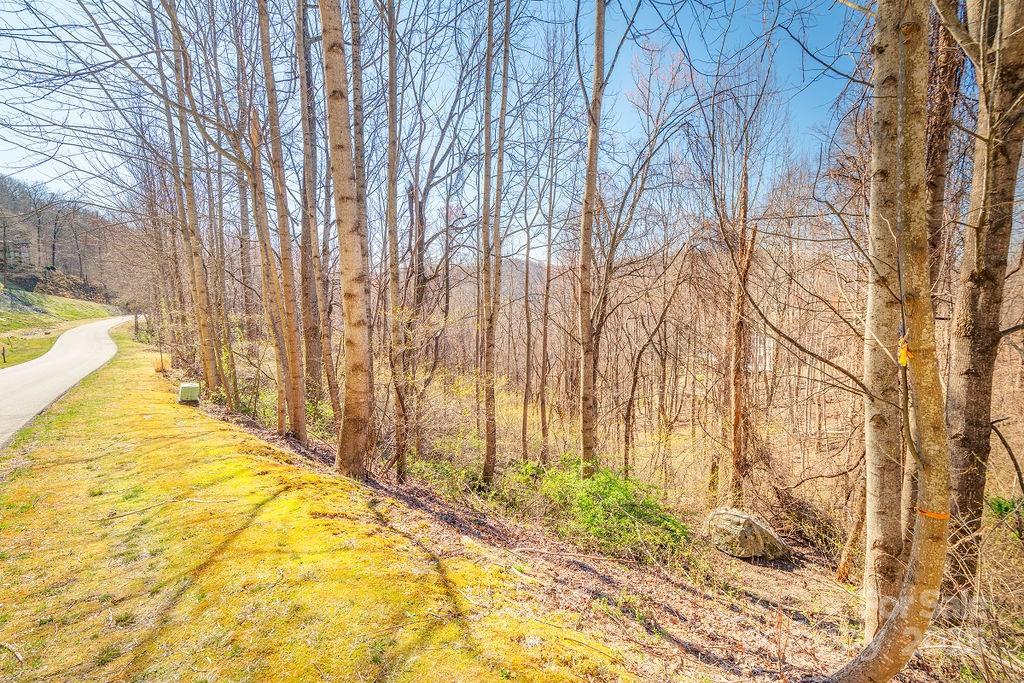 461 Somersby Parkway