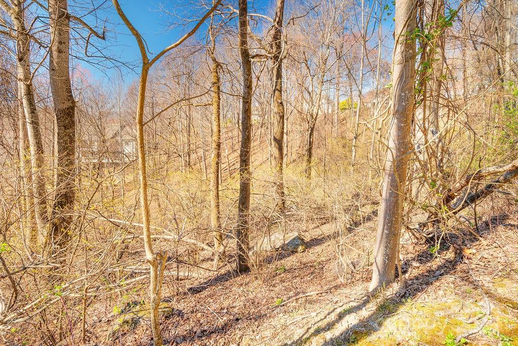 461 Somersby Parkway