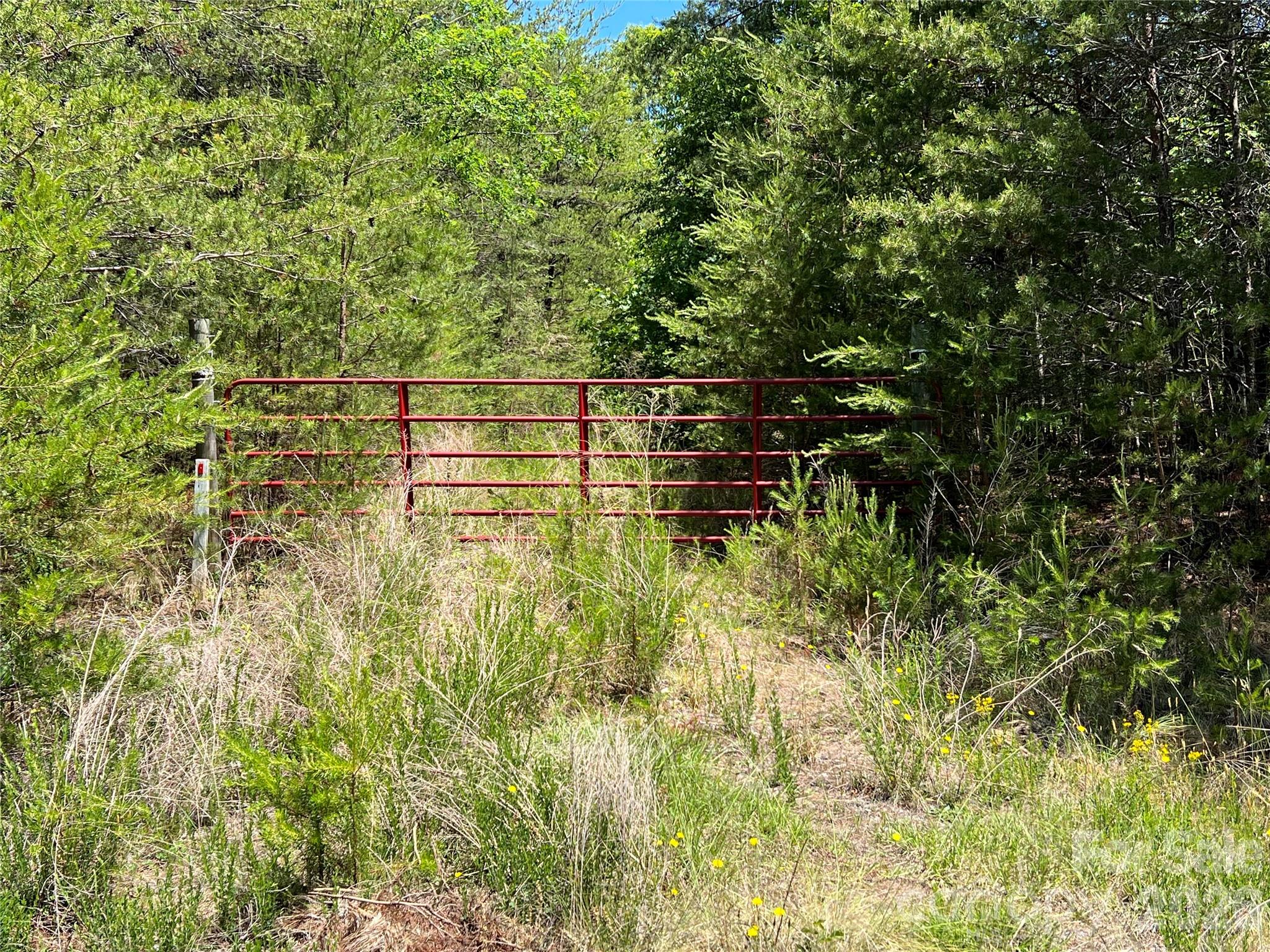 0 Luckadoo Mountain Road 177