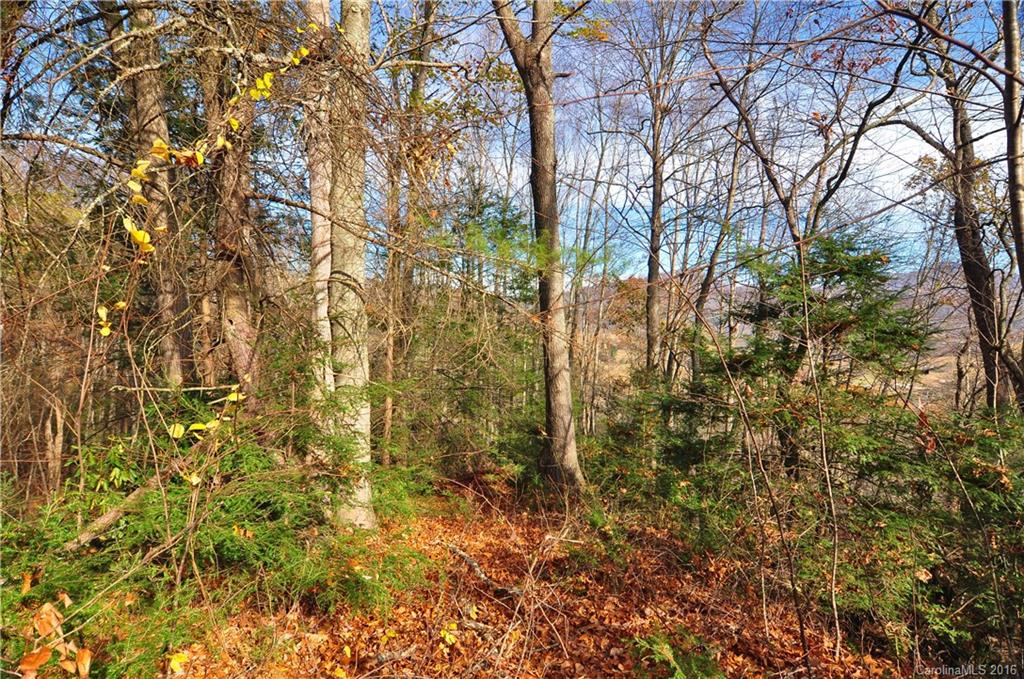 The Glens Of Ironduff - Land