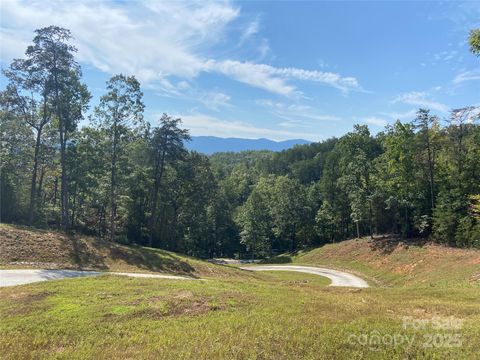 000 Ridgeland Way Mill Spring NC 28756