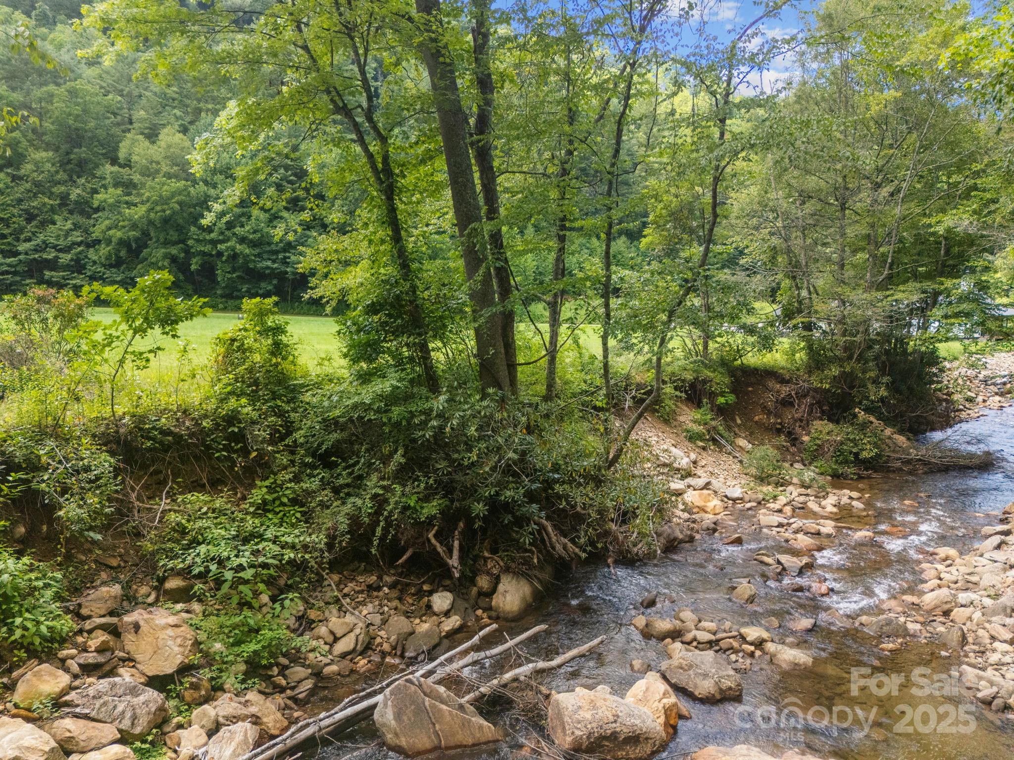 The River at Shining Rock - Land