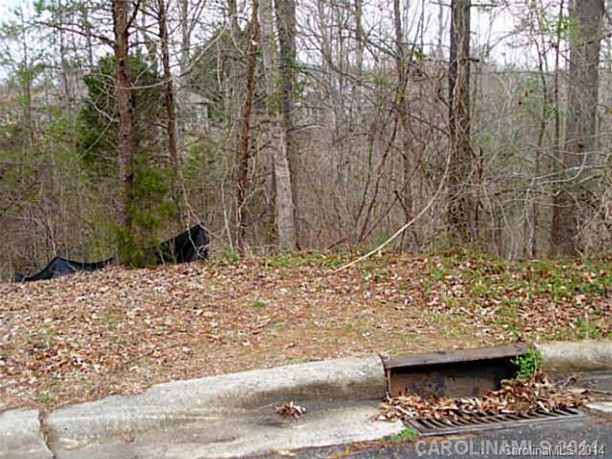 Great basement lot in Tega Cay.  Excellent Fort Mill schools.  SafeWise.com has named Tega Cay as the #1 safest city in South Carolina.  Desirable community with Lake Wylie access and a championship golf course. Great location for commute to Charlotte.