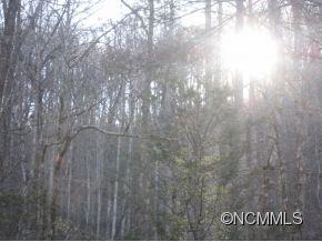 Line Runner Ridge - Land