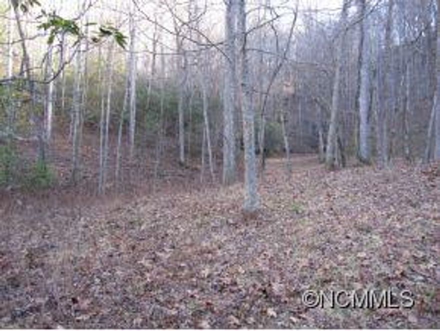 This is a great lot. Approx. wooded acres with a driveway in place and potential house site cleared. It has numerous sites to choose from when building your dream mountain retreat. You will enjoy canoeing , hiking, biking, etc. in the beautiful Line Runner Ridge Communtiy and it is only about 13 miles from downtown Brevard. Lot has written water right to obtain water from a neighboring reservoir.