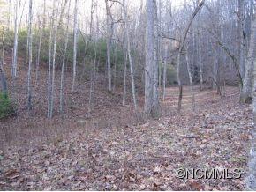 Line Runner Ridge - Land