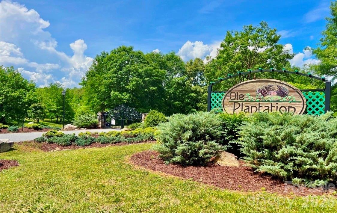 Ole Plantation - Land