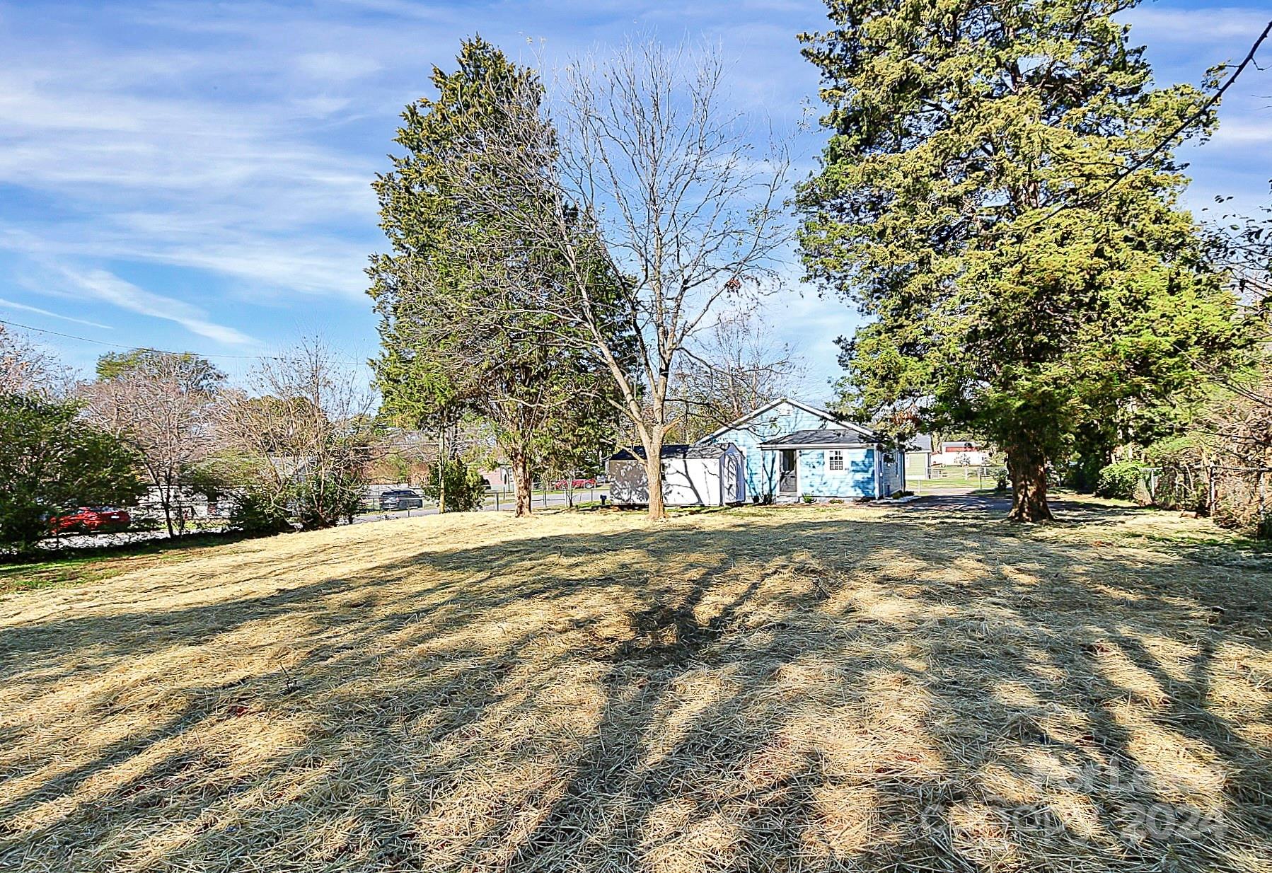 None - Residential Lease